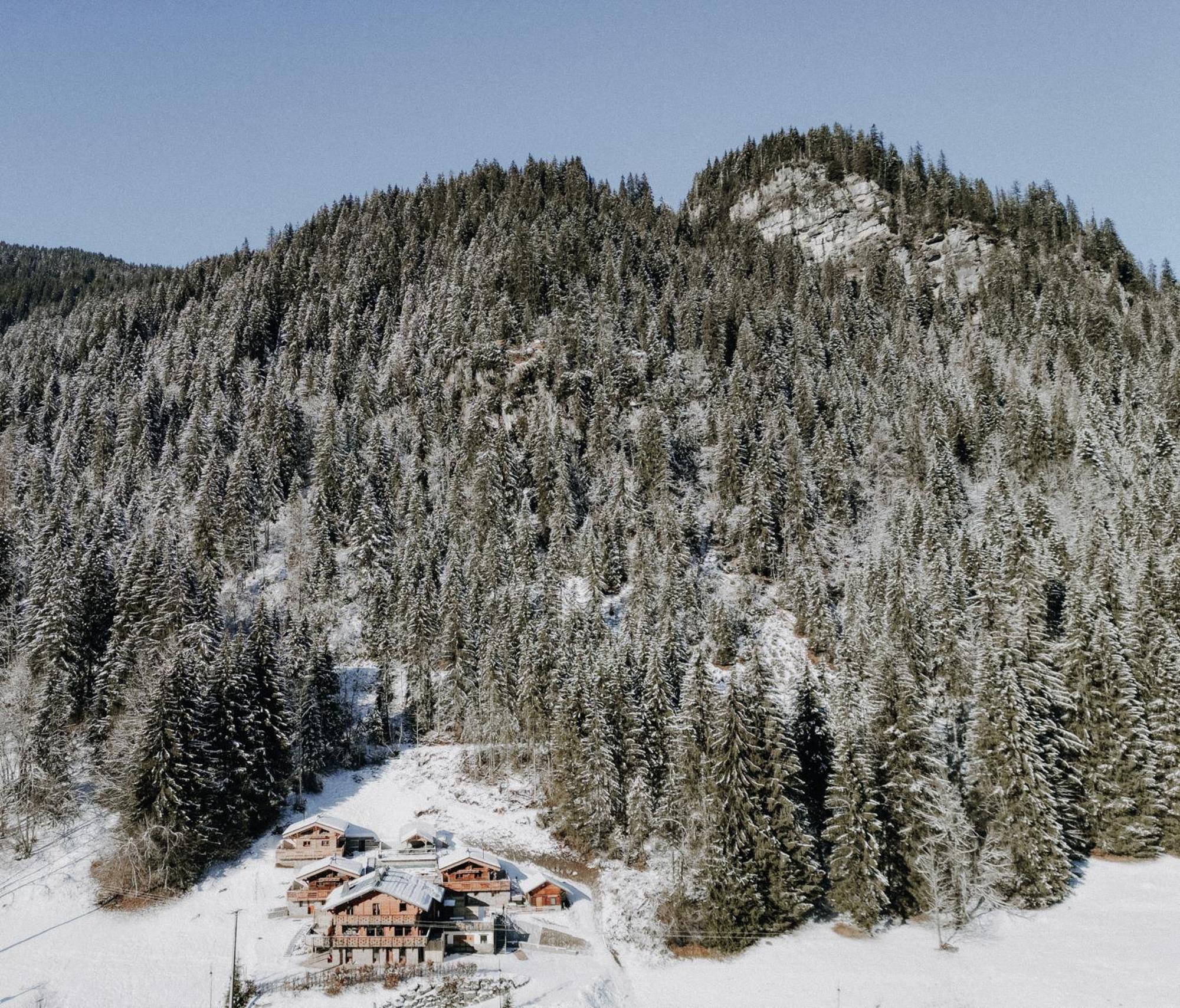 Chalet Savoya Châtel