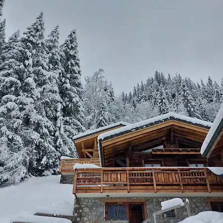 Savoya Lodges Chatel Exterior photo