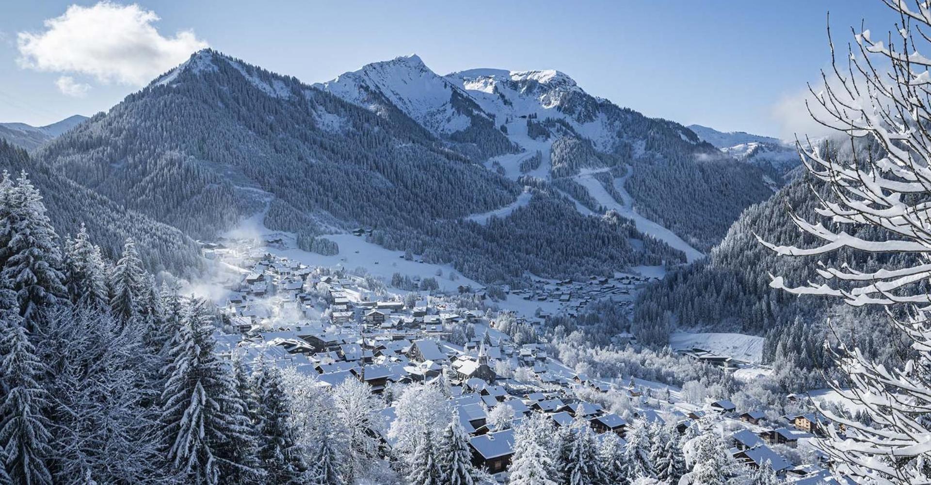 Chalet Savoya